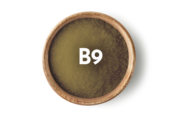 Pteroyl monoglutamic acid Vitamin B9